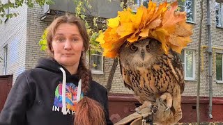 Сова Ёль принимает гостей с канала @BobCat ТВ