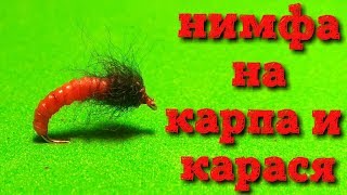 нимфа на карпа и карася #29