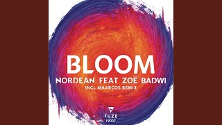 Bloom