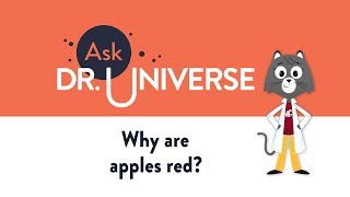Why Are Apples Red?