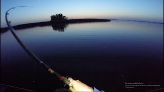 ТРОФЕЙНЫЙ КАРП рвет и метет УХОДИТ В КОРЯГИ
