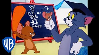 Tom & Jerry in italiano | Classico Dei Cartoni Animati 153 