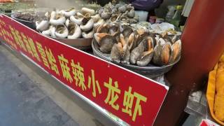 Pekin (Beijing) layover - Wangfujing, Forbidden City, Temple of heaven