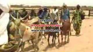 le niger