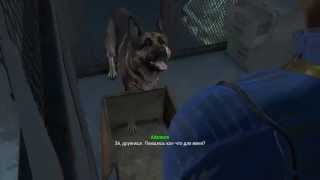 Криолятор Fallout 4: Быстрое получение гайд.