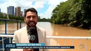 Cerca de 80% dos aguapés já foi manejada e removida