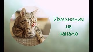#1 Об изменениях - КАК БУДУ СНИМАТЬ ТЕПЕРЬ\ МИНИ ЦЕЛИ\ ВОВЧИК СЛЕДИТ
