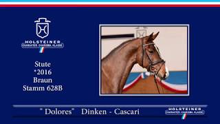 Holsteiner Frühjahrsauktion 2019 | Nr. 05 - Dolores v. Dinken - Cascari