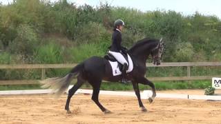 Jeanne Linguinou et Jaro Ram juin 2016 concours de dressage Mornac sur Seudre