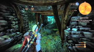 The Witcher 3 #11 Contrato: Coração Selvagem Matando Lobisomem (Marcha da Morte) Death march