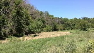 Coming Soon: Dog Park in Wilmington