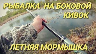 Рыбалка.Ловля на боковой кивок.Летняя мормышка