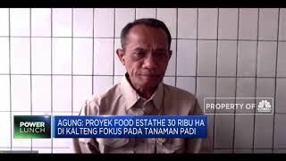 Akhir 2020, Kementan Siap Panan 30 Ribu Ha Sawah Food Estate Kalteng