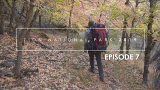 Photographing Zion Fall 2019: Episode 7