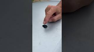 Mechanic Hack