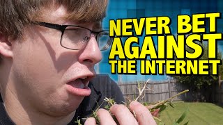 NEVER BET AGAINST THE INTERNET - Button Masher Bros.