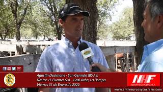 31-01-20 - Agustín Desimone - Productor - Nestor Hugo Fuentes S.A. - GraL Acha (L.P.)