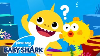 Best Baby Shark Collection | +Compilation | Baby Shark Sing Along 