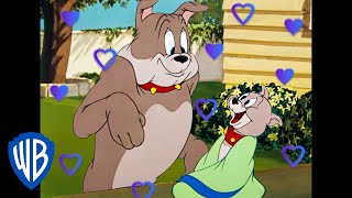 Tom et Jerry en Français | Joyeuse fête des pères ! ️ | WBKids