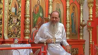 В чем смысл жизни? (прот. Владимир Головин, г. Болгар)