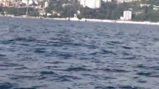 Сочи 20.08.2012 года.