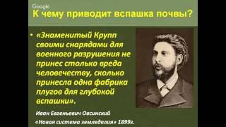 Природное земледелие дома: как вырастить полезные овощи и пряности на кухне