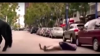Вот это лошадь лягнула! Нечего было к ней лезть!