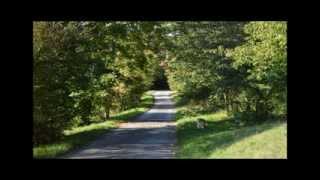 "Leben" - Martin List/Kleynod