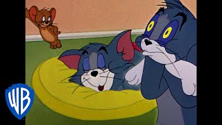 Tom et Jerry en Français | Pas de maison sans le duo