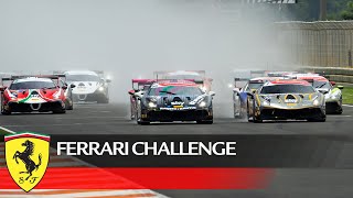 Ferrari Challenge Europe 2021 – Valencia, Trofeo Pirelli Race 1