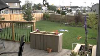 July 19 storm in Airdrie Alberta