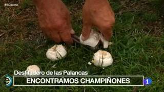 España Directo TVE Valle de Valdebezana 20160517
