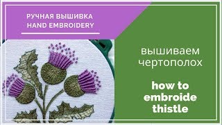 Hand embroidery| Ручная вышивка| Чертополох| Thistle| free pattern| бесплатная схема вышивки