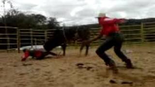 petruck vs bleck jack