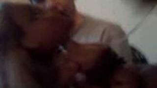 31 minutos porno