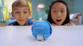 Little Live Pets Hedgehog S1 30s TVC