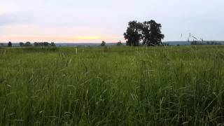 Очень спонтанная рыбалка 30 мая 2014