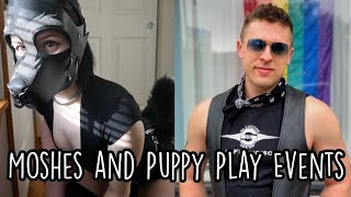 Petplay Event & Puppy Mosh Survival Guide With Pup Amp!