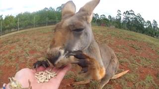 Backpacking Australia 2014