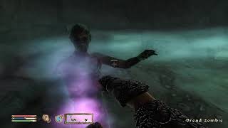 Oblivion Hand to Hand Illusionist Build Combat: My biggest one on one challenge yet!