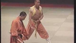 Budo Galla 1992 Shaolin