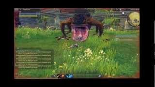 Raiderz Vore リョナ