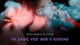 DILLADANK & ЛИЛ СЛЁЗЫ - Я забил весь мир в косяк (Премьера клипа 2019)