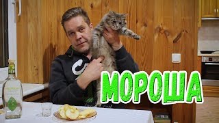 Белорусская "Мороша". И кошки немножко :)