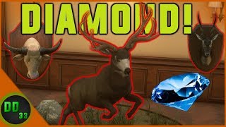 Finding 2 RARES and a DIAMOND for the Trophy Lodge!! TheHunter Call of the Wild 2019