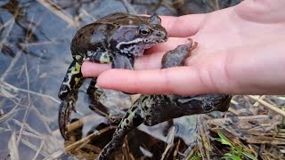 Нашла себе мужика! И бросила его в реку. Лучшие 4 минуты в жизни
