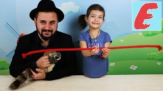 ფოკუს მოკუსი. ემილია და ილუზიონისტი ავთო ატარებენ ფოკუსებს, ვსწავლობთ ფოკუსის გაკეთებას
