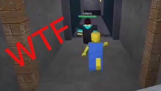 I CHASED LOLERIS...