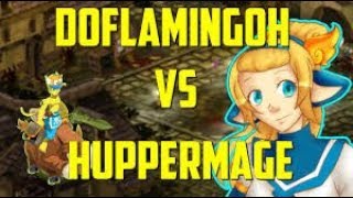 DOFUS | PvP vs. DOFLAMINGOH