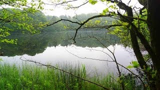 Fisk i øde Skovsø?/ På Fiskeopdagelse Djursland forår 2014